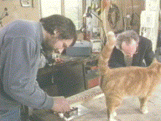 Rex,Tim,and Percy the cat marking soggy paper